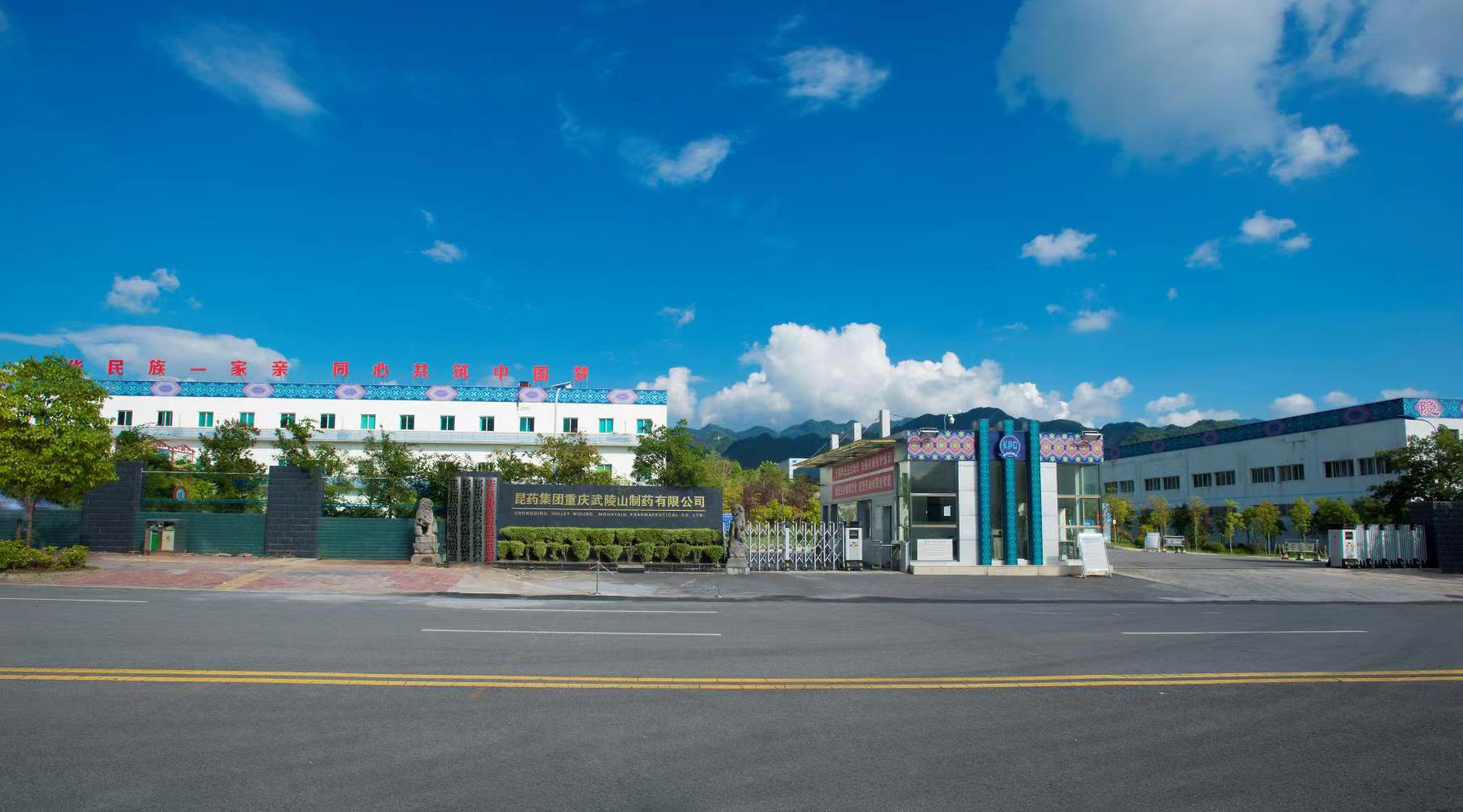 华润三九(酉阳)制药有限公司